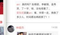 兜子娱乐最新爆料新闻,最新爆料新闻背后的惊人真相
