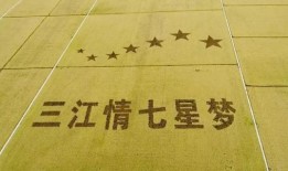 黑龙江农场爆料视频最新,揭秘神秘农业生态圈