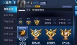 典伟最新皮肤爆料,炫酷特效，神秘背景故事揭秘