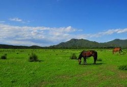 唐指山风景区最新爆料,探秘自然奇观，体验生态之旅