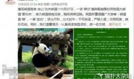 熊猫村最新爆料大赛,揭秘神秘事件，竞猜大奖等你来拿！