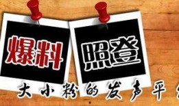 最新普拉达爆料新闻,揭秘品牌新动向与神秘新品